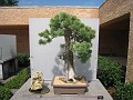 Botanical Gardens 2010 0510